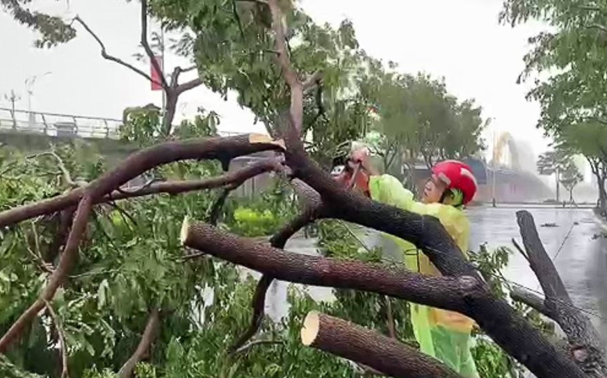 mơ thấy gió bão