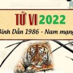 Luận tử vi tuổi Bính Dần năm 2022 nam mạng chi tiết nhất