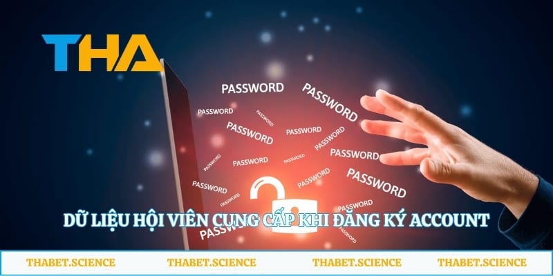 Dữ liệu hội viên cung cấp khi đăng ký account 